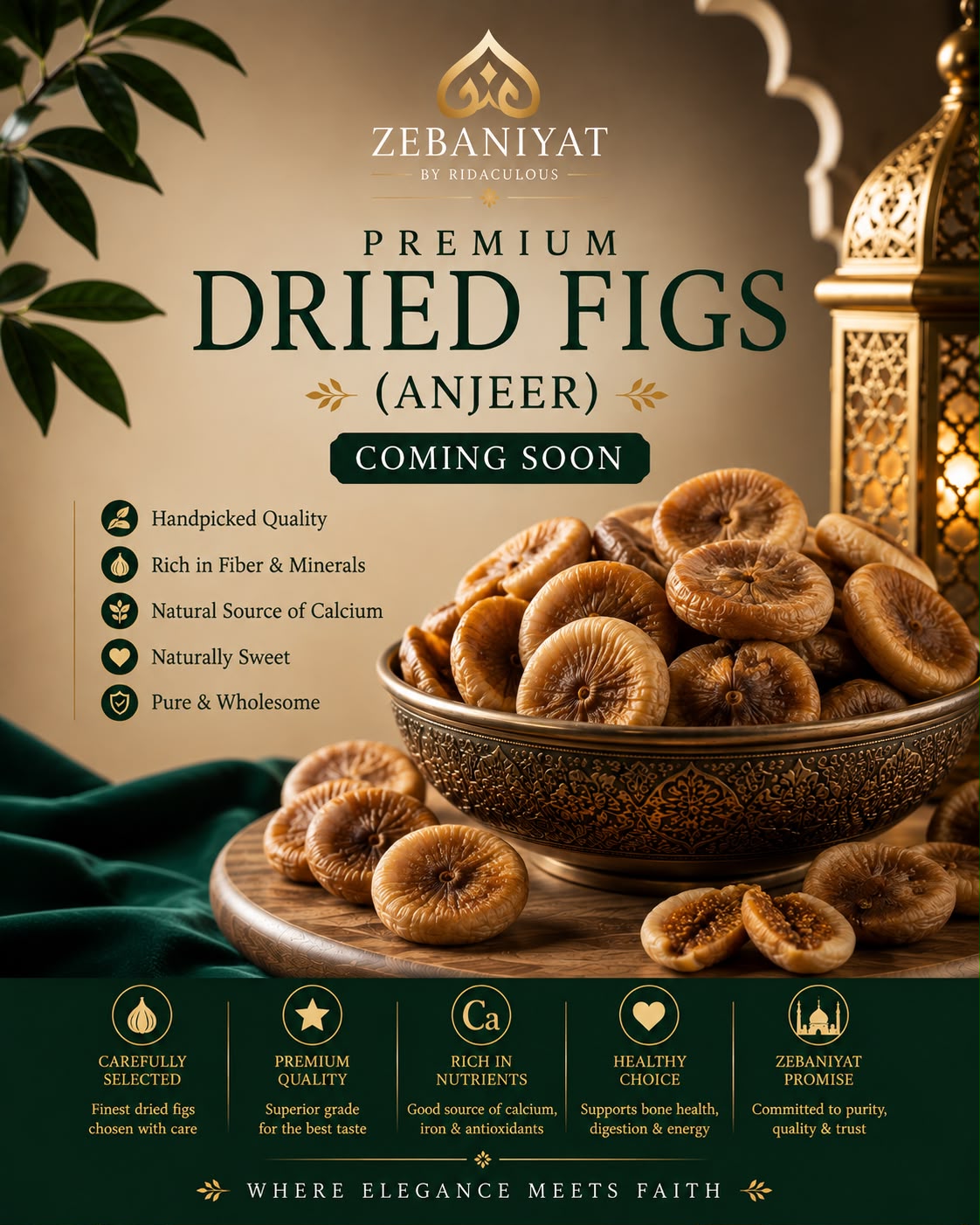 Premium Dried Figs (Anjeer)