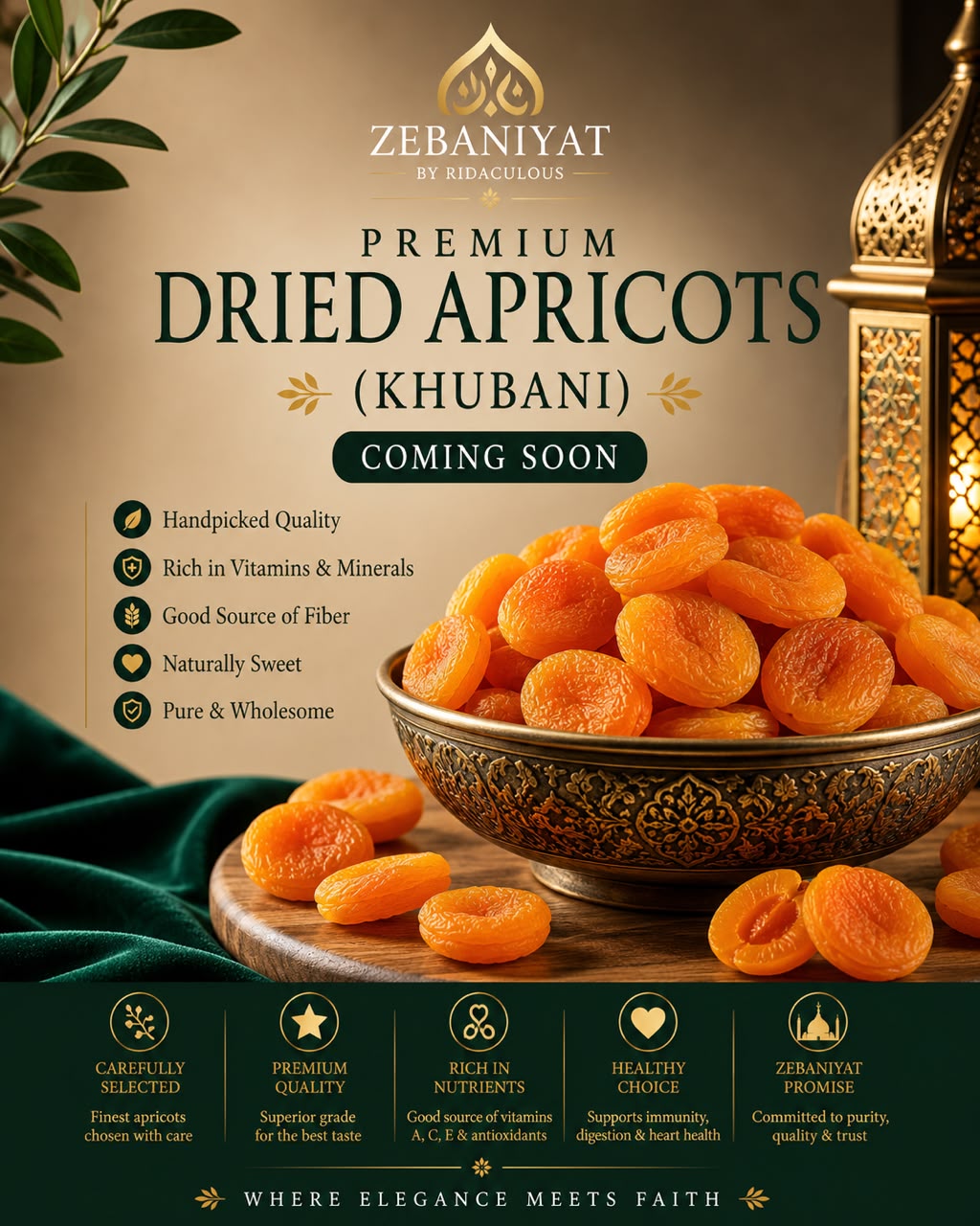 Premium Dried Apricots (Khubani)